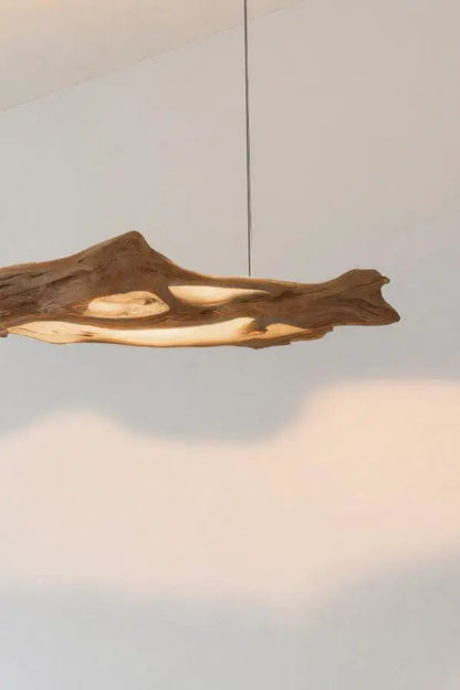 Modern Sculptural Pendant Light With Organic Form For Living Room Kitchnce