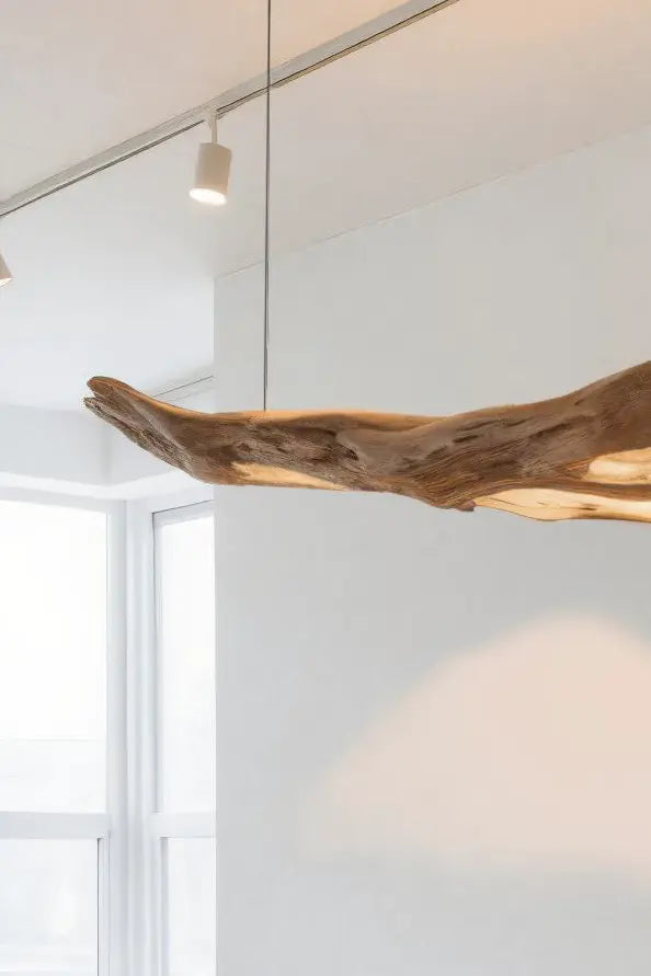 Modern Sculptural Pendant Light With Organic Form For Living Room Kitchnce