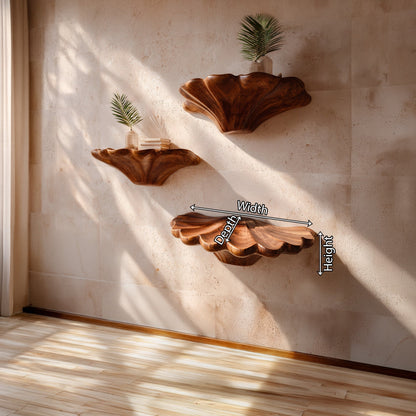 Sculptural Floating Wall Shelf Organic Form Minimalist Decor