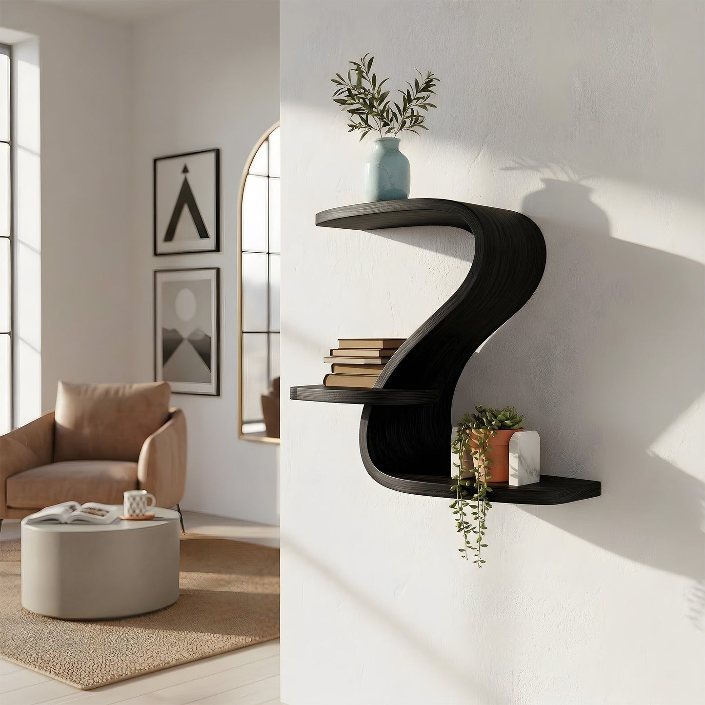 Curved S-Shaped Floating Wall Shelf with Tiered Display