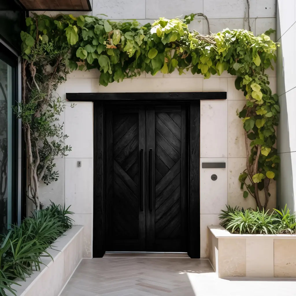 Rustic Double Front Door Modern Entryway Contemporary House Villa Kitchnce