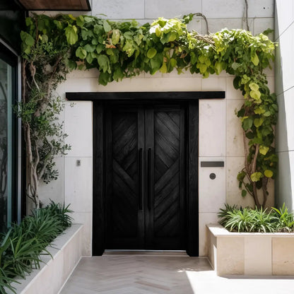Rustic Double Front Door Modern Entryway Contemporary House Villa Kitchnce
