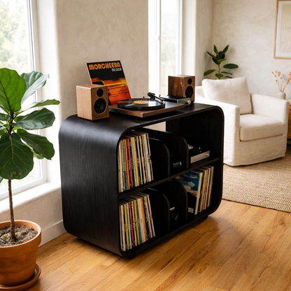 Curved Solid Wood Record Player Stand with Vertical Vinyl Storage Cabinet Kitchnce