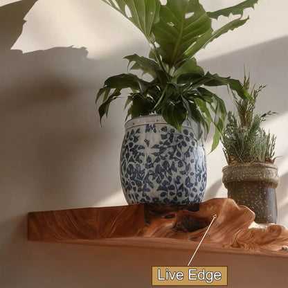 Dravik Live Edge Solid Wood Floating Shelf SPA300692 Kitchnce