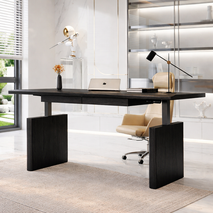 Modern Ergonomic Work Desk with Adjustable Features for Home Office