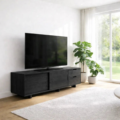 Solid Wood TV Cabinet Modern Minimalist Media Console with Storage Kitchnce